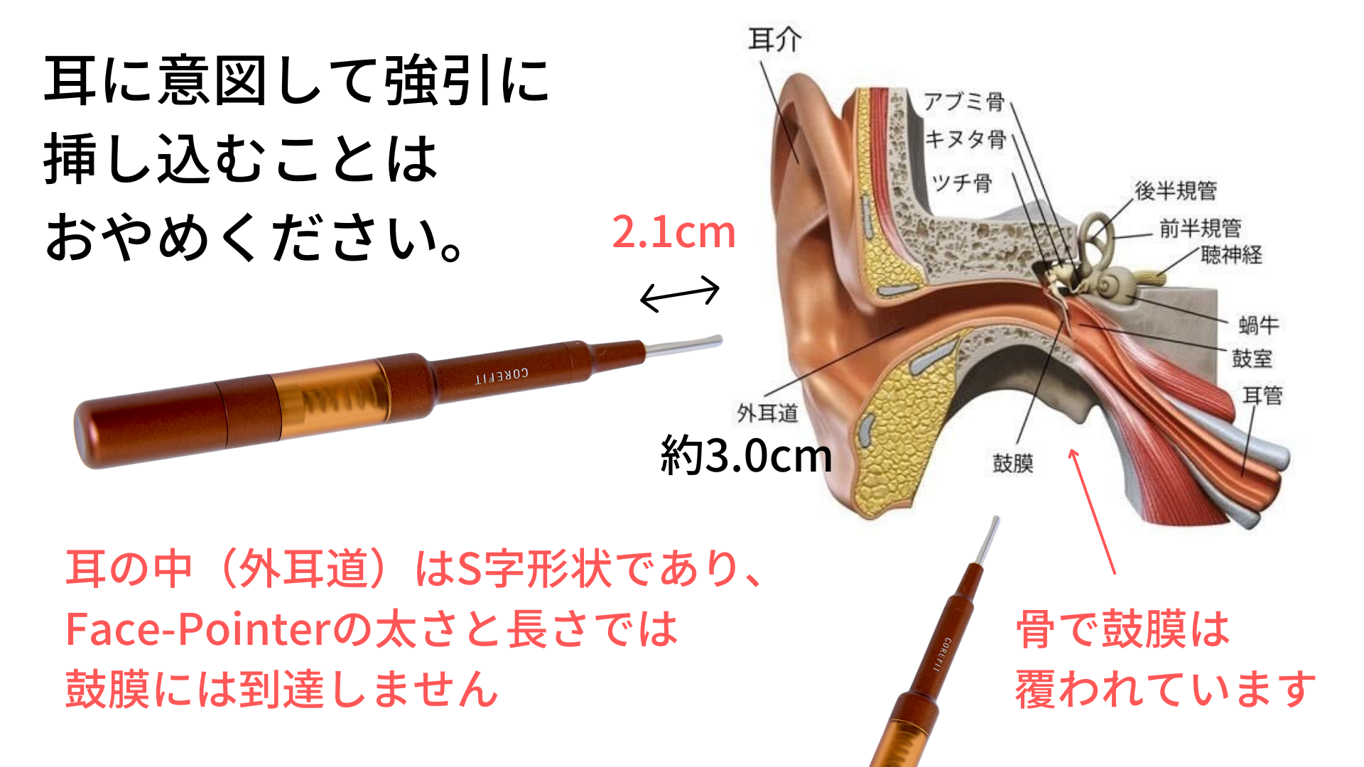 フェイスポインター FACE-POINTER ( フェイスポインター ) - 【COREFIT公式オンラインストア】コアフィット/変化できる女性は美しい。B-by-C  株式会社