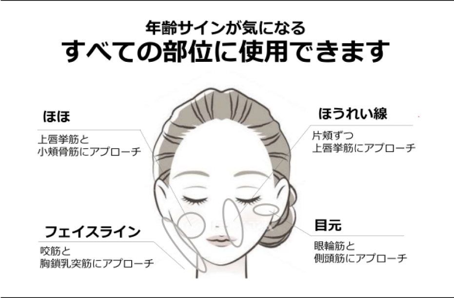 face-illust.png
