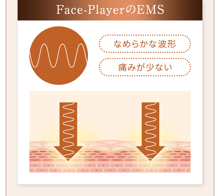 Face-PlayerのEMS