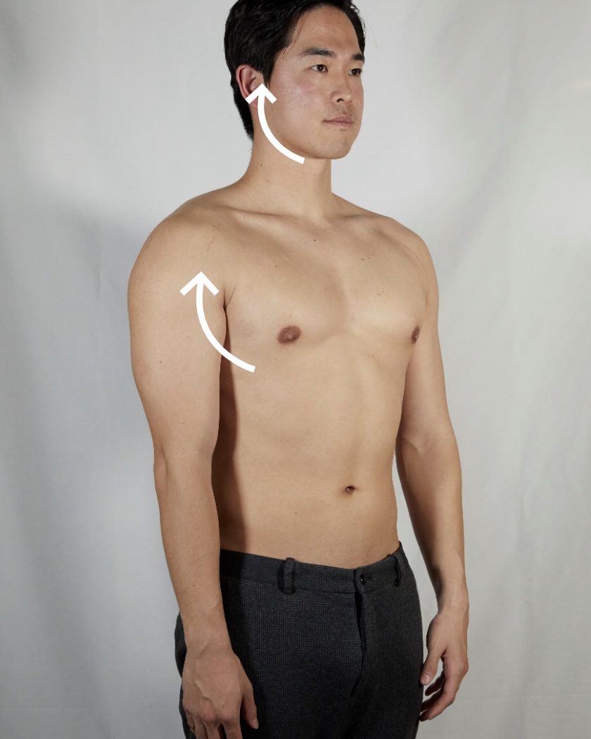 BODY DRIVER – COREFIT