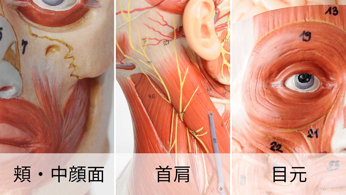 <訳あり> フェイスプレイヤー　アクセサリーセット　ディープホワイト FACE PLAYER2 – COREFIT