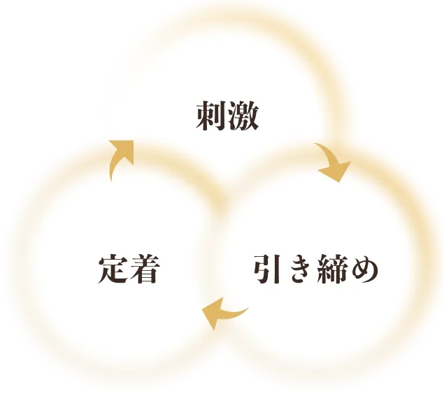 刺激、引き締め、定着