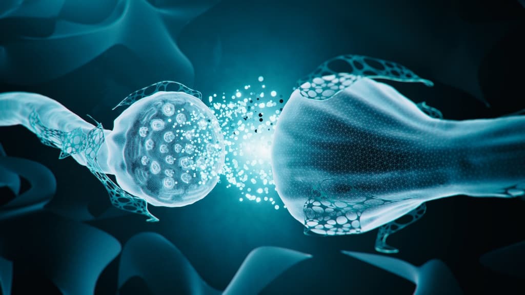 DEEP FITTER（ディープフィッター） – COREFIT