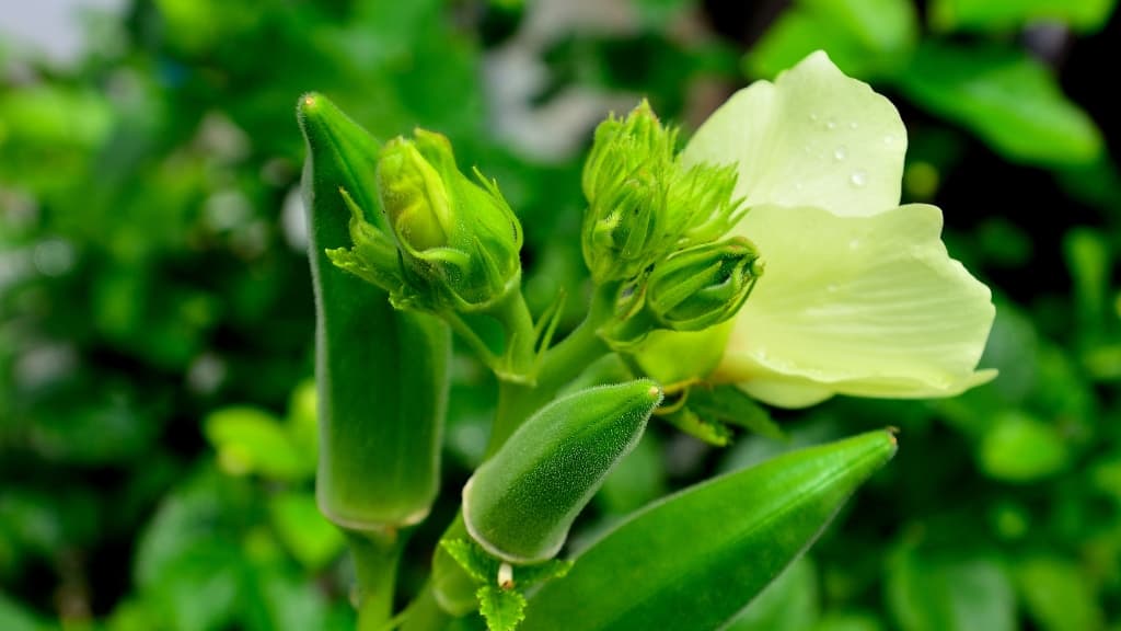 DEEPFITTER_seibun (2)