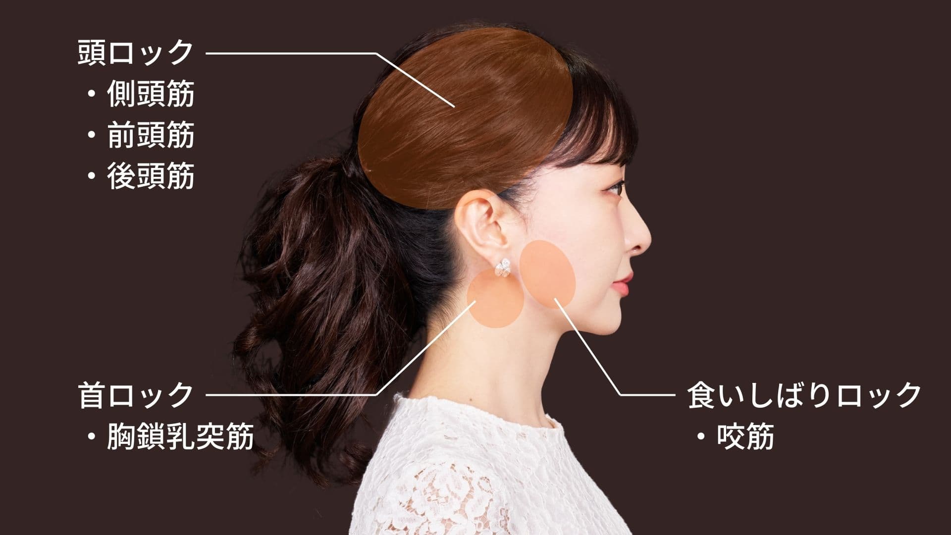 The FACE POiNTER GRAVITY（フェイスポインター グラビティ） – COREFIT