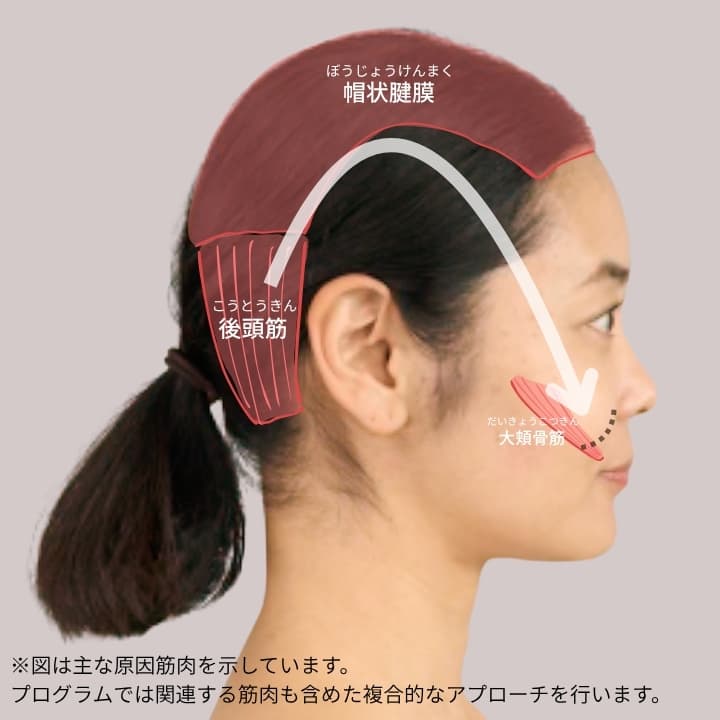コリルート